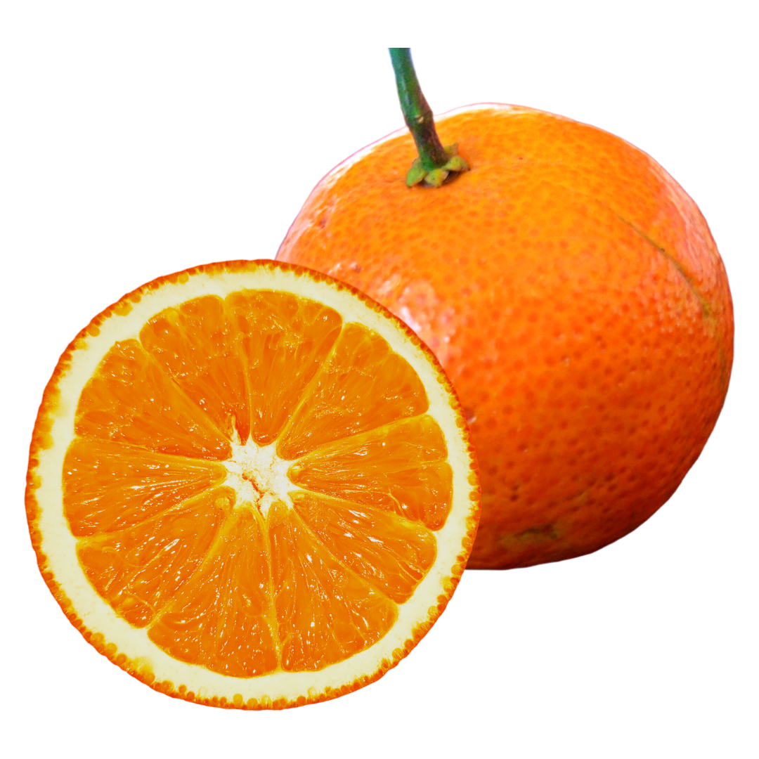 Jeruk Lokal (Jeruk Medan)