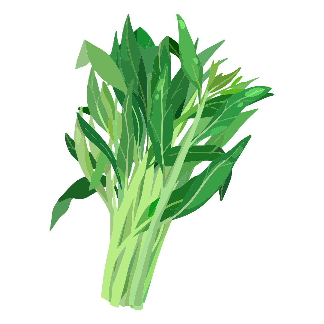 Kangkung